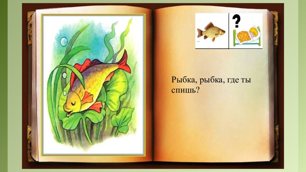 Рыбки уснули в пруду