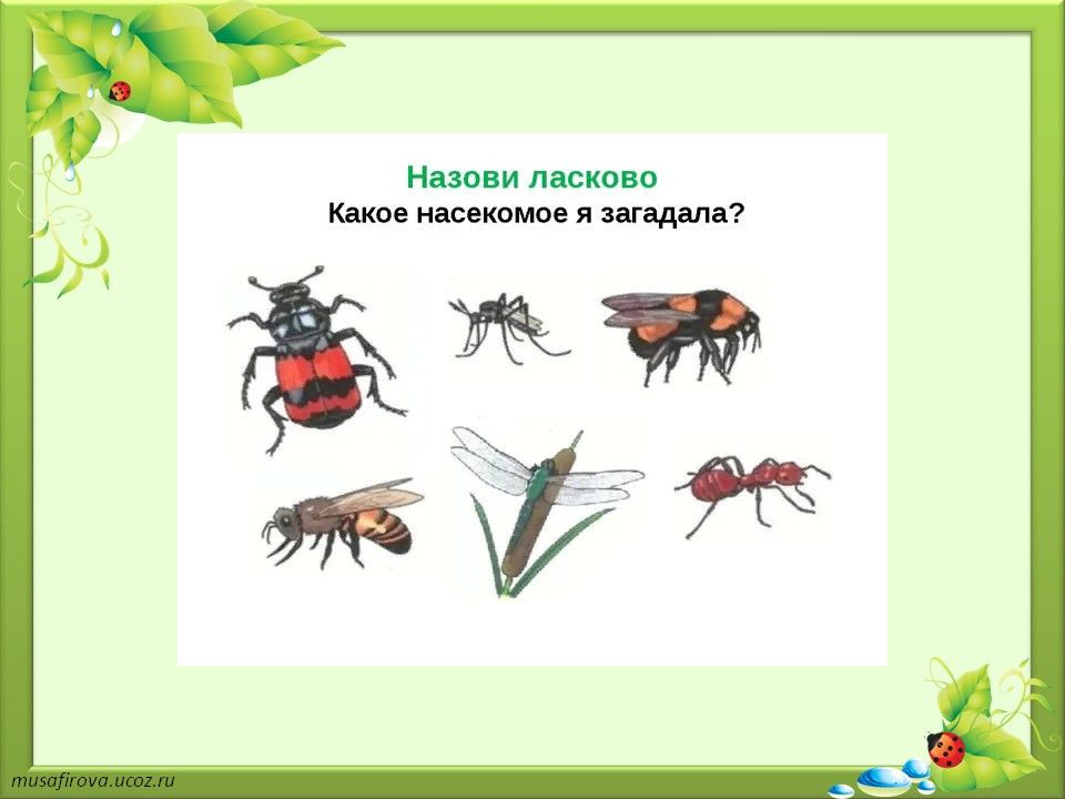 Лексическая тема насекомые старшая группа презентация