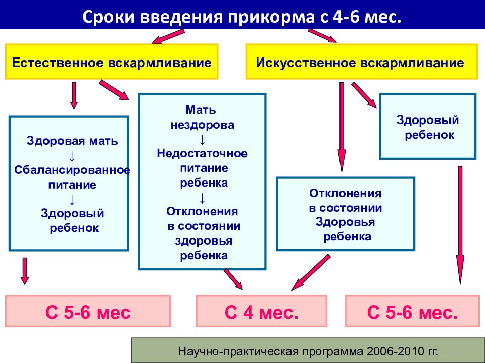 Время введения прикорма