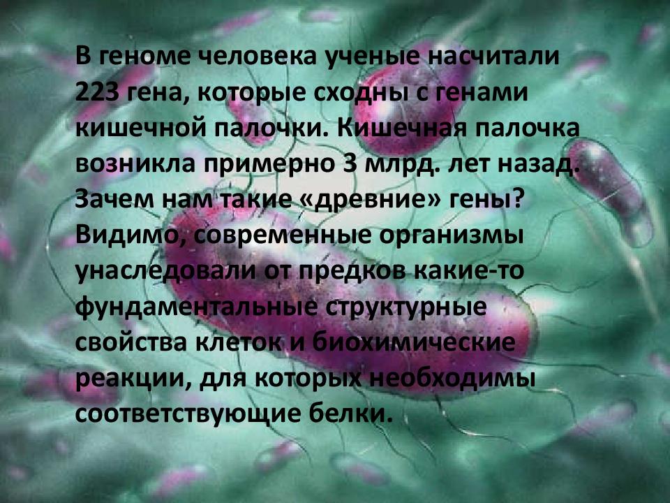 Что такое геном. Ген для презентации. Ген это кратко. Гены человека. Современные представления о геноме.