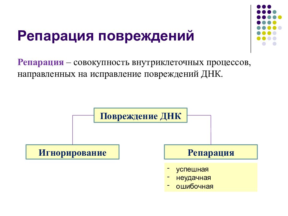 Мутации и мутагены презентация