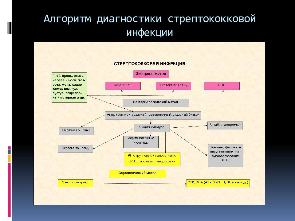 Стрептококковая инфекция это. Схема лабораторной диагностики стрептококковой инфекции. Диагностика стрептококковой инфекции схема. Микробиологическая диагностика схема стрептококковых инфекций. Алгоритм диагностики стрептококковой инфекции.