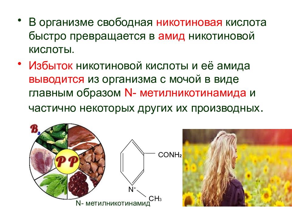 Избыток организме. Избыток никотиновой кислоты. Переизбыток в организме кислоты. Гиповитаминоз рр никотиновой кислоты. Избыток никотиновой кислоты в организме симптомы.