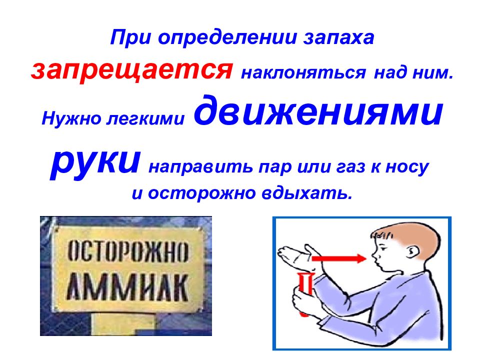 Определить пахнуть. Определение запахов техника безопасности. Осторожно направляйте к себе ГАЗ или пар рукой. Направляйте осторожно к себе ГАЗ или пар рукой определяя по запаху. Профессия по определению запаха.