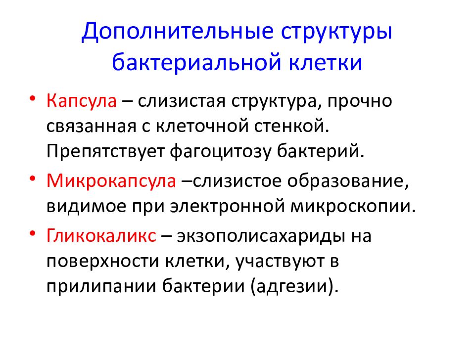 Структура дополнительной. Дополнительные структуры бактериальной клетки и их функции. Дополнительный компонент бактериальной клетки. Непостоянные компоненты бактериальной клетки. Дополнительные компоненты бактериальной клетки.