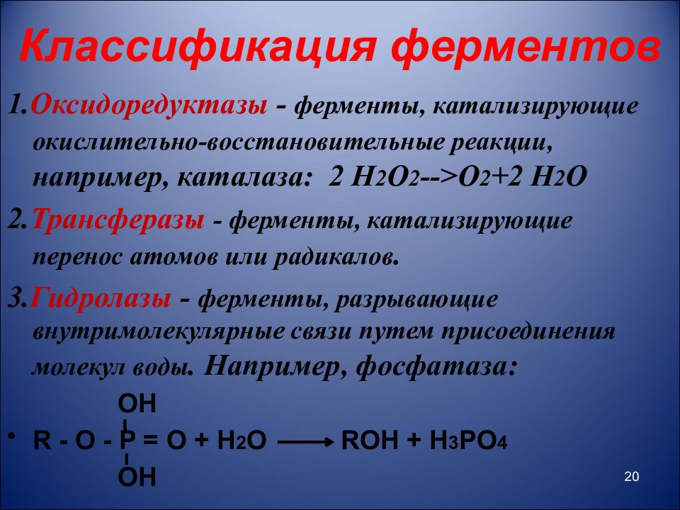 Ферменты класса оксидоредуктаз