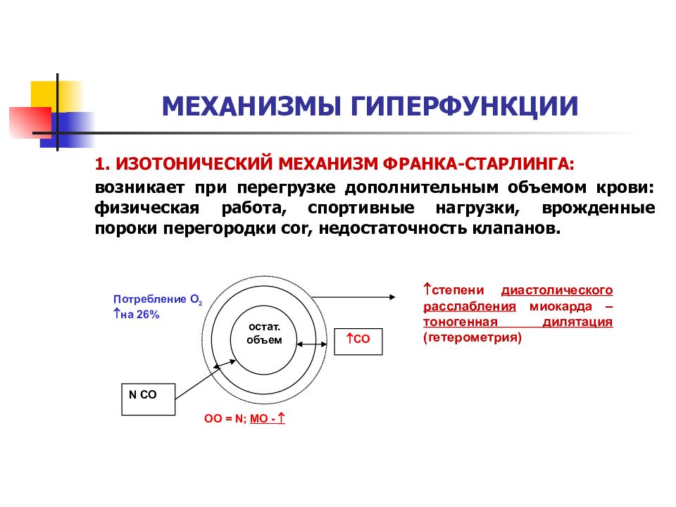 Рабочая компенсаторная гипертрофия презентация