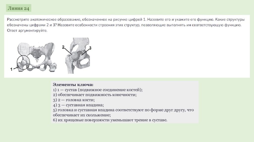 ЕГЭ 2027 ОДС ОТРАБОТКА