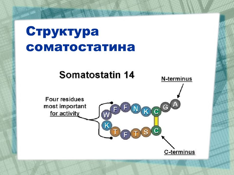 Строение обмен. Соматостатин структура. Соматостатин гормон структура. Соматостатин биохимия. Соматостатин строение.