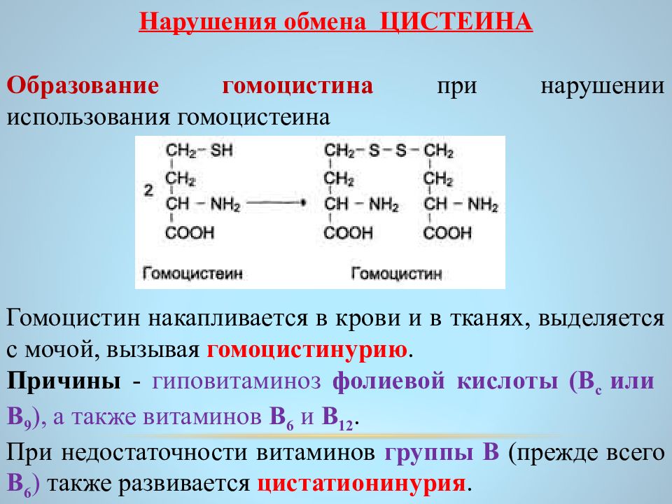 Гомоцистеин норма у мужчин