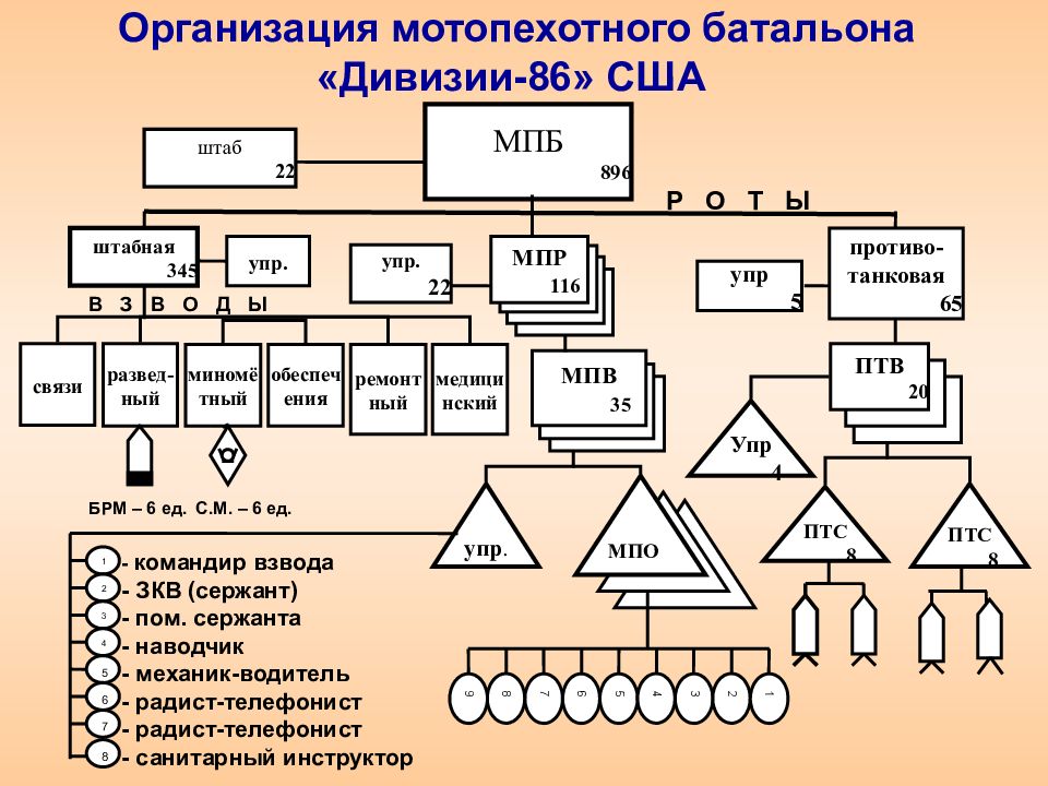 Состав мотопехотного батальона