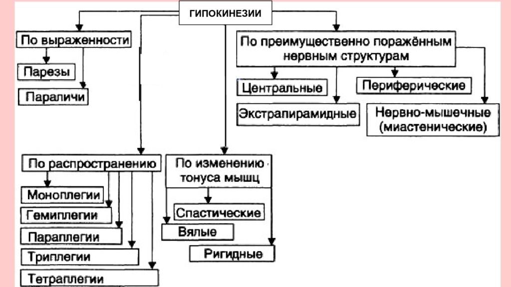 Нервная система пропедевтика презентация