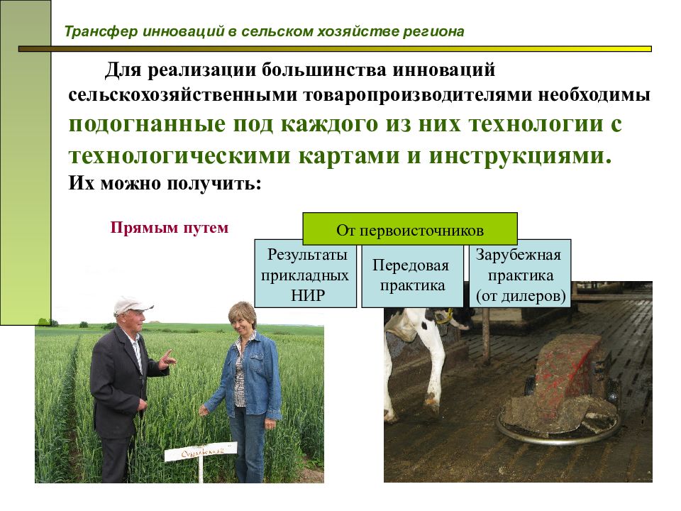 Инновационные проекты в сельском хозяйстве