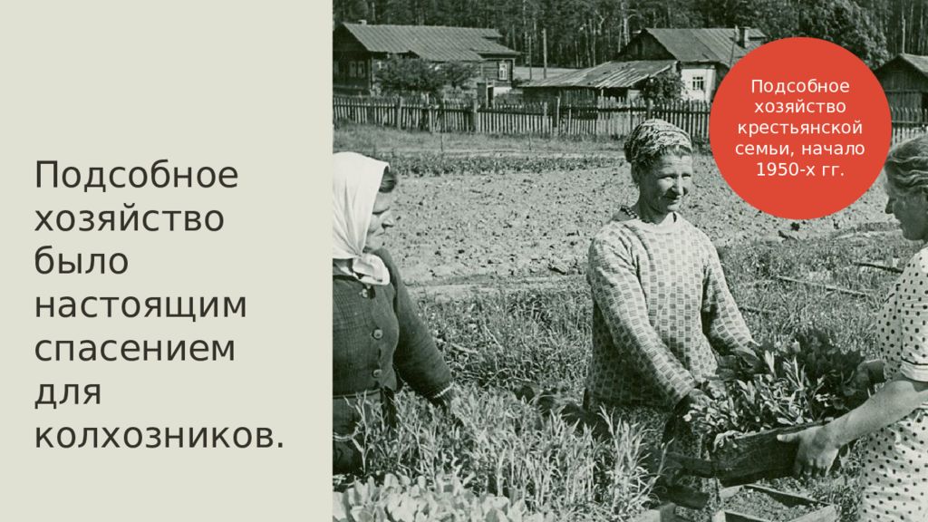 Подсобное хозяйство мк кпсс. Подсобное хозяйство при хрущеве. личное подсобное хозяйство при хрущеве. подсобное хозяйство в ссср. наступление на подсобные хозяйства.