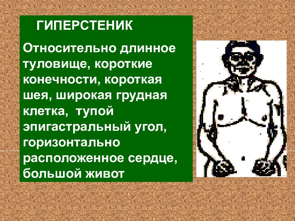 Астенический тип. Астеник пикник. Атлетик астеник. Гиперстеник Тип телосложения. Гиперстеническое Телосложение у мужчин.