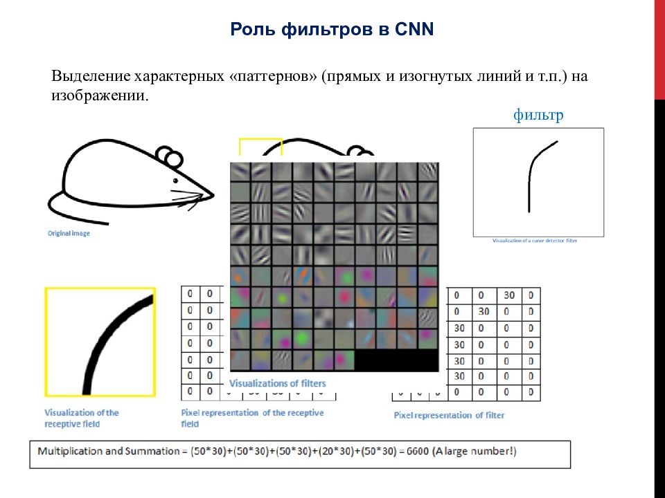 Сверточные нейронные сети презентация