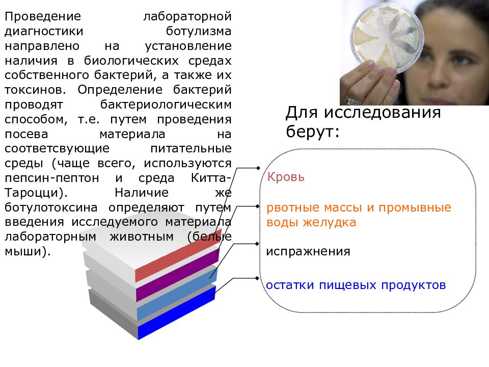 Чем опасны грызуны для человека гигтест