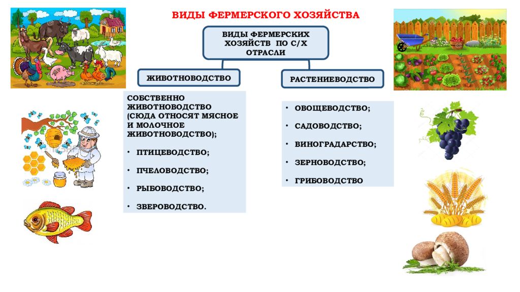 Крестьянское фермерское хозяйство презентация