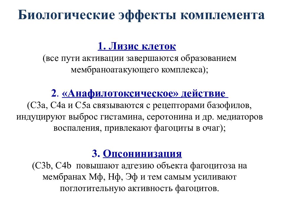 Врожденный иммунитет цитокины. Биологические эффекты системы комплемента. Иммунитет с биологической точки зрения это. Факторы врожденного иммунитета. Перечислите биологические эффекты системы комплемента:.