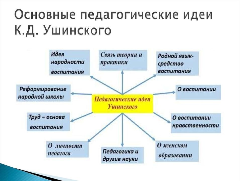 Проект по педагогике для школьников