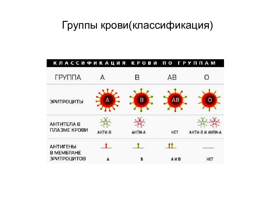 Распространенная группа крови в россии. Классификация крови таблица. Распространение групп крови и резус фактора. Антитела плазмы 1 группы крови. Распространенность видов крови.