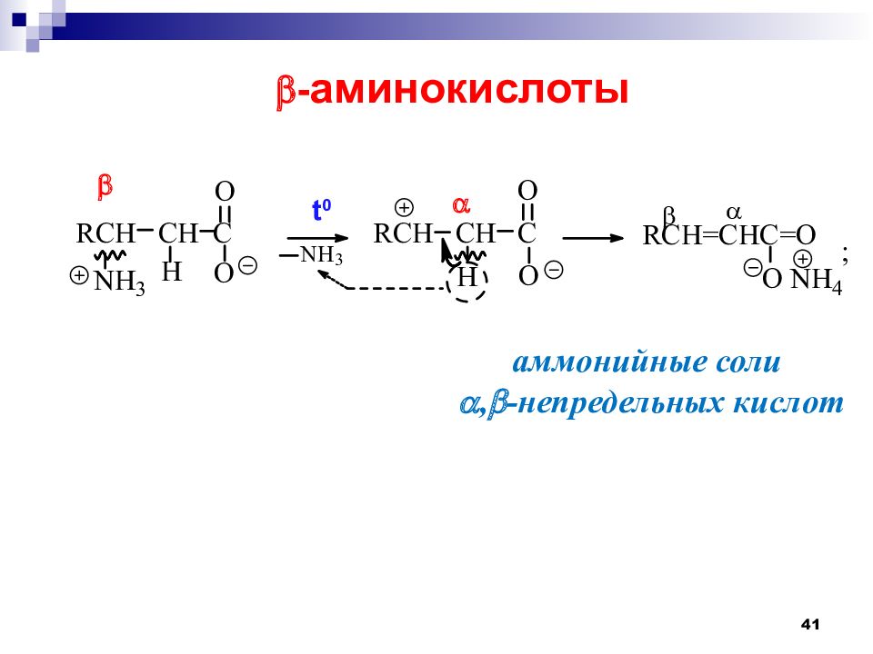 Презентация о аминокислотах