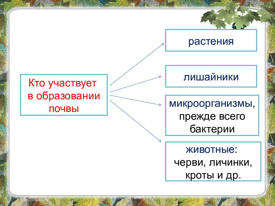 Образование почвы презентация