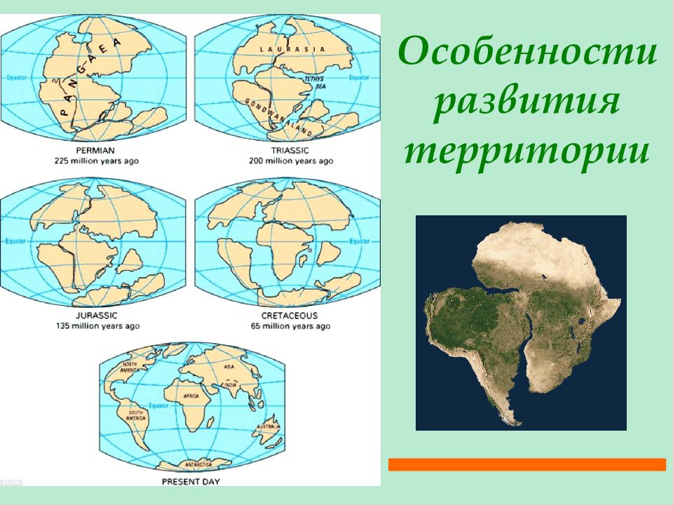 Растительный и животный мир земли 7 класс. Растительный и животный мир география 7 класс. География 7 класс животные мира. География 7 кл растительный и животный мир земли. Растительный и животный мир земли презентация.