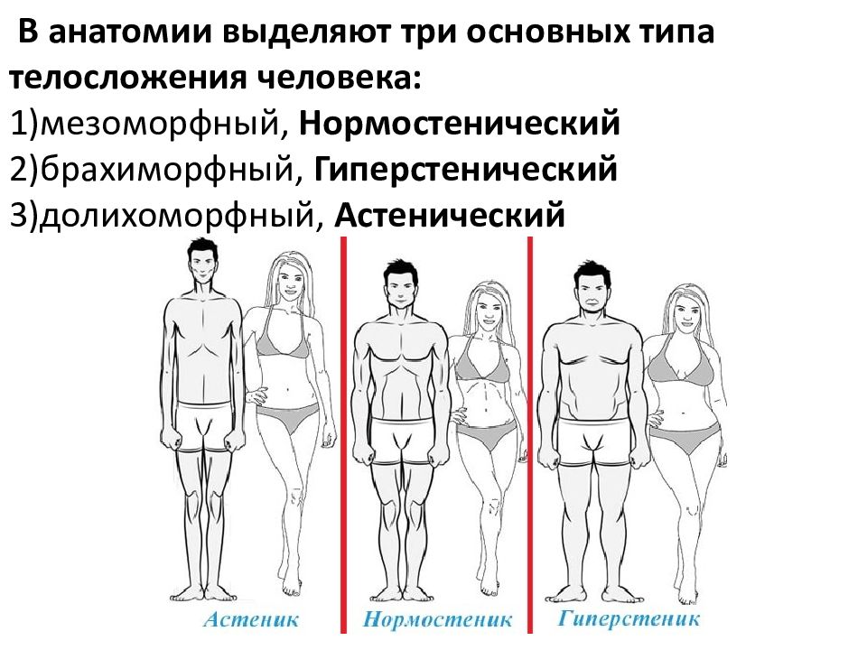 3 основных типа