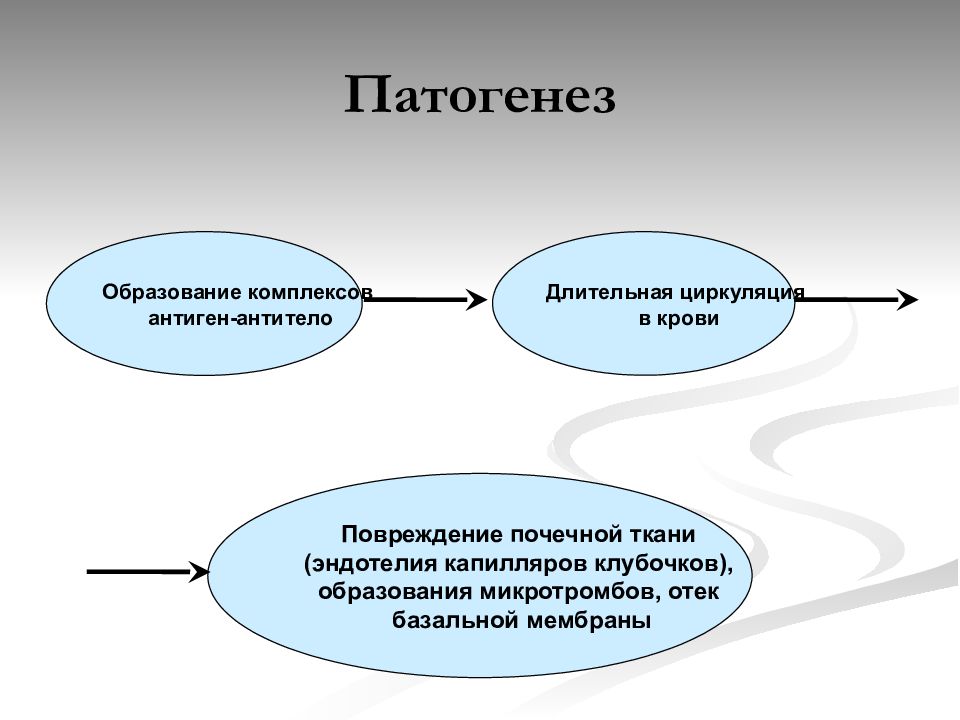 Образование комплексов. Патогенез образования комплекса антиген антитело. Вертикальная циркуляция в обществе. Образование комплексов. Вывод.