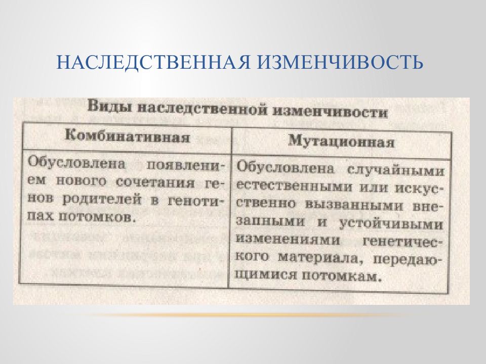 Наследственная изменчивость презентация 10 класс