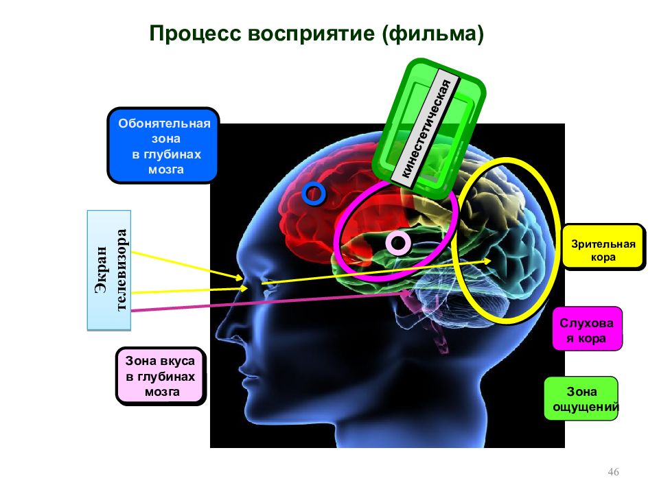 Возникновение ощущений схема