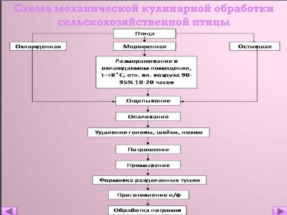 Презентация механическая кулинарная обработка мяса