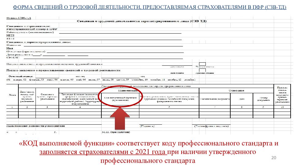 Как заполнить код выполняемой функции в отчете сзв тд образец