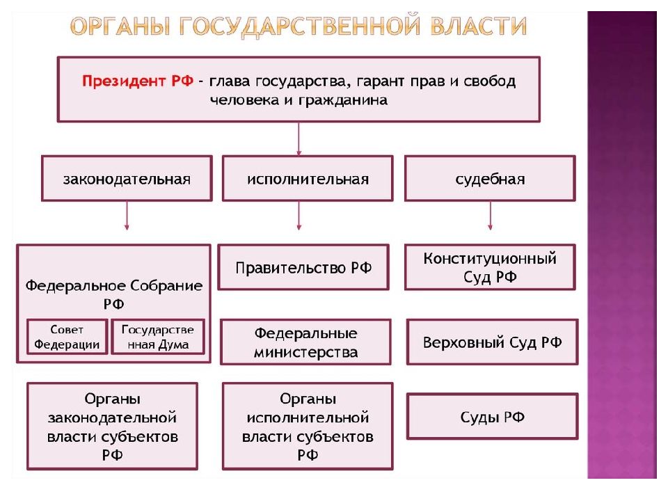 Органы государственной власти и их функции презентация