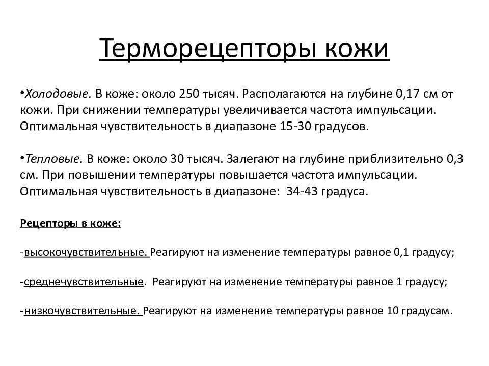 Кожа терморегуляция презентация