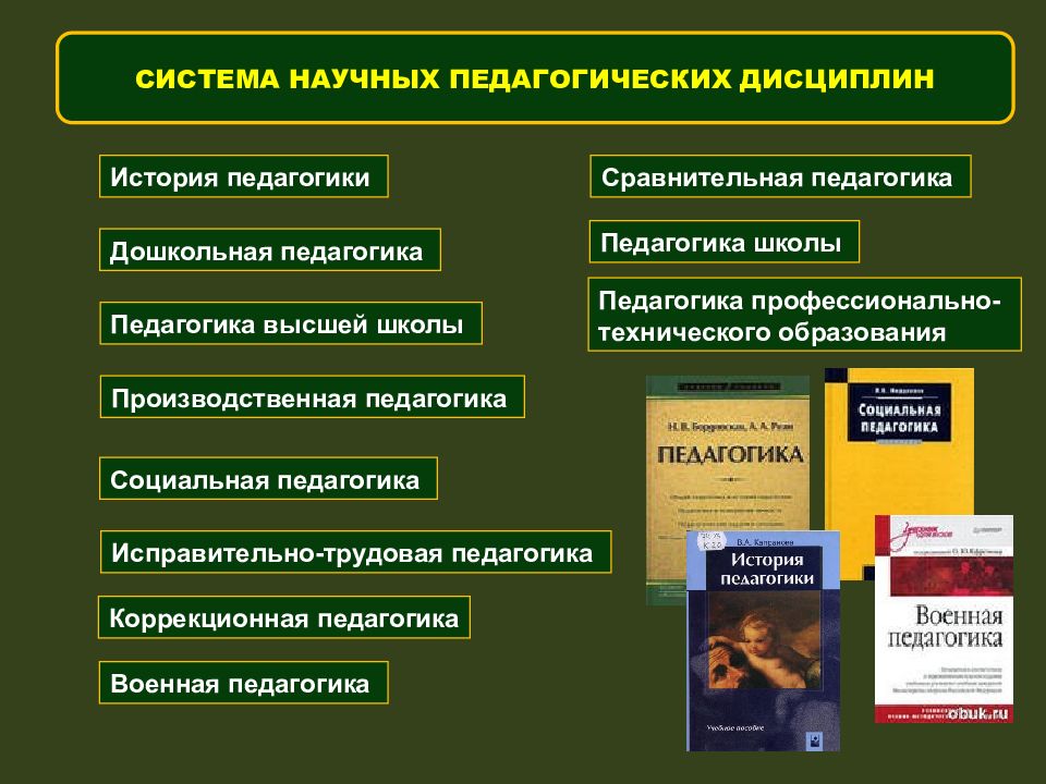 Основы педагогики. Система педагогических дисциплин. Дисциплины педагогики. Педагогические научные дисциплины. Основы профессиональной педагогики.