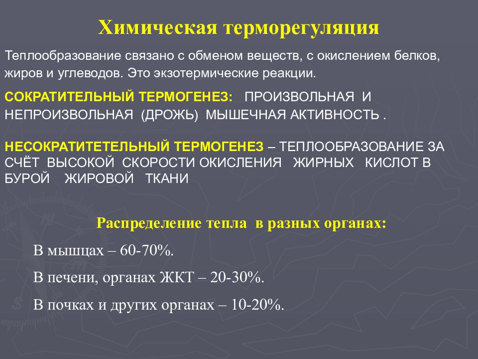 Понятие обмена. Понятие об обмене энергии. Понятие об основном и общем обмене. Понятие об обмене веществ. Понятие об обмене энергии и тепла.