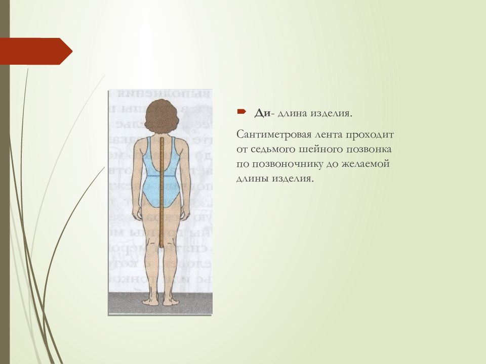 Длина изделия. Снятие мерок от 7 шейного позвонка. Длина изделия от 7 шейного позвонка. Урок технологии по снятию мерок. Снятие мерок 6 класс технология.