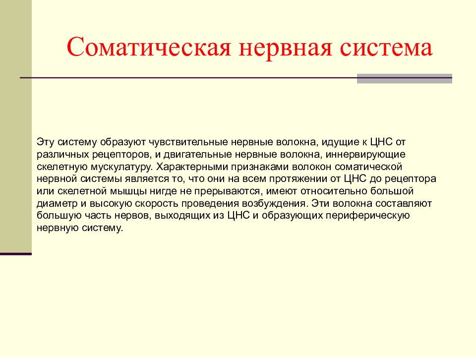 Эфферентный путь вегетативных нервов. Соматические чувствительные нервы. Соматических. Соматические чувствительные нервы. Функции нервов.
