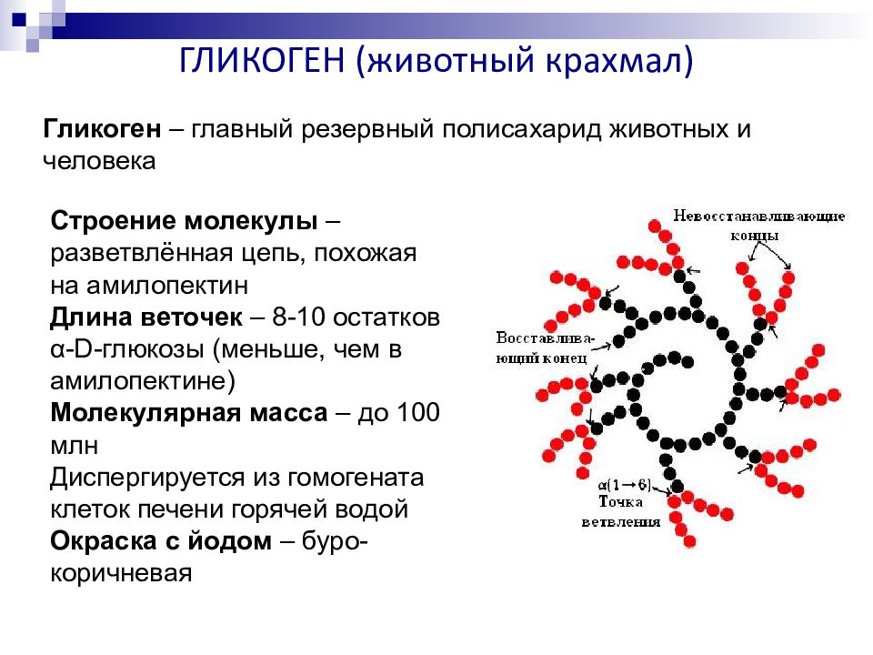 Что такое гликоген в биологии. Гликоген строение. Структура гликогена биохимия. Структура гликогена. Структура крахмала и гликогена.