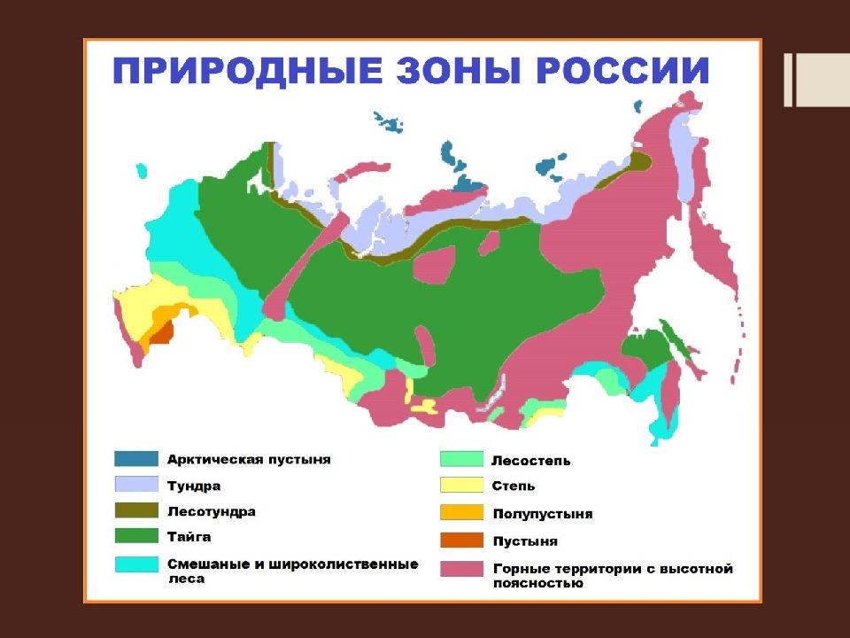 План конспект природные зоны россии 8 класс