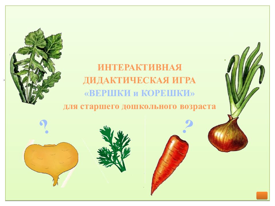 ИНТЕРАКТИВНАЯ ДИДАКТИЧЕСКАЯ ИГРА «ВЕРШКИ и КОРЕШКИ» для старшего дошкольного