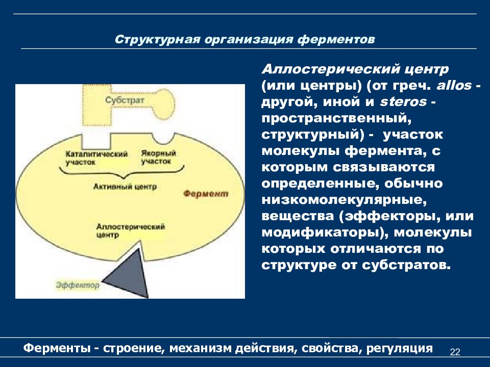 Строение фермента схема