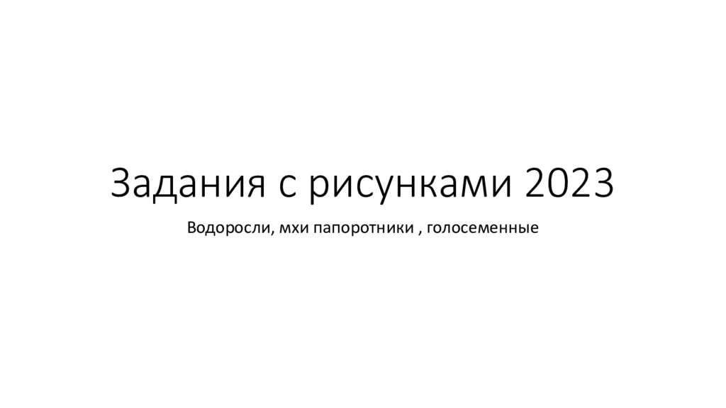 Задания с рисунками 2023
