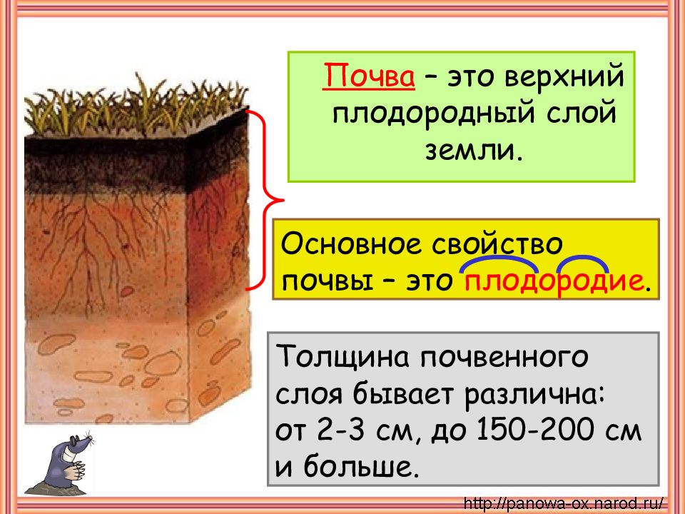 Почва верхний слой земли состав почвы 5 класс 8 вид презентация