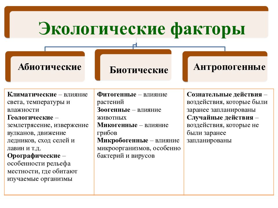 Биотические факторы презентация 9 класс биология