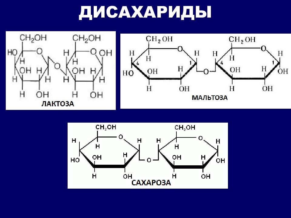 Химические свойства лактозы. Лактоза дисахарид. Циклическая форма мальтозы. Дисахариды строение молекул. Сахароза мальтоза лактоза формулы.