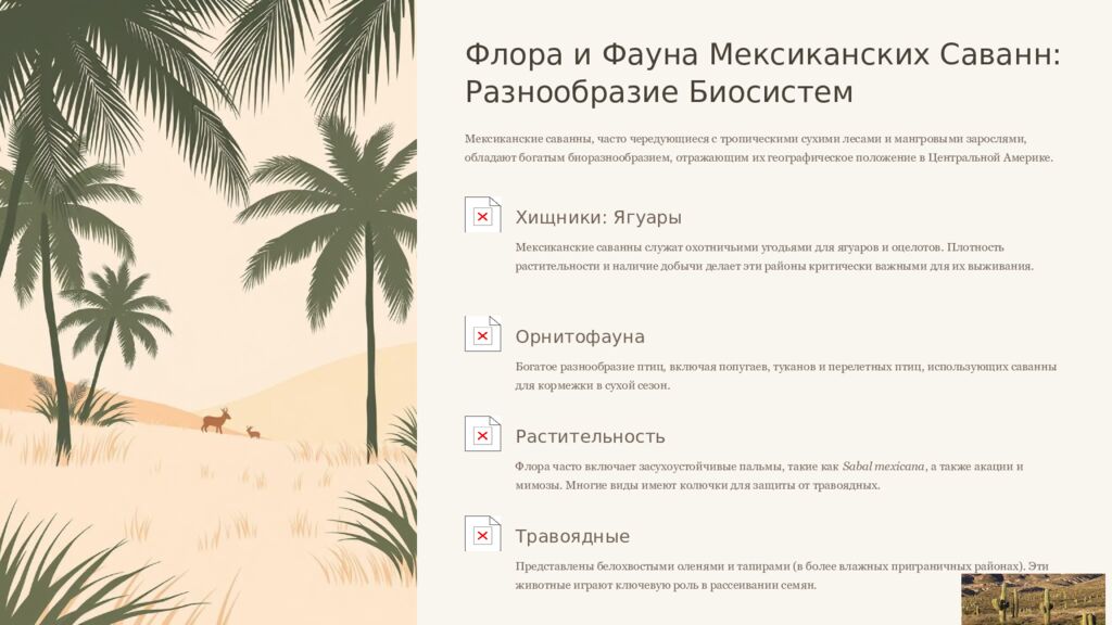 Саванны Индии и Мексики: Сравнительный Анализ Двух Тропических Экосистем Это