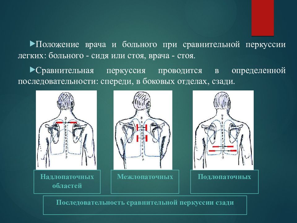 Положение легких. Сравнительная перкуссия грудной клетки сзади. Аускультация грудной клетки пропедевтика. Проведение аускультации спереди. Сравнительная аускультация легких сбоку.